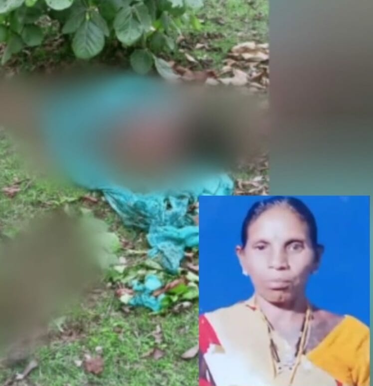 जंगल में जलावन लकड़ी लेने गई अधेड़ महिला की हाथी ने कुचलकर ले ली जान,बेटी बहु ने भागकर बचाए प्राण